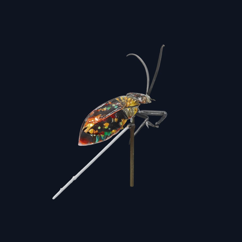 Colorful Beetle Insect Model Pack for D Rendering and Games